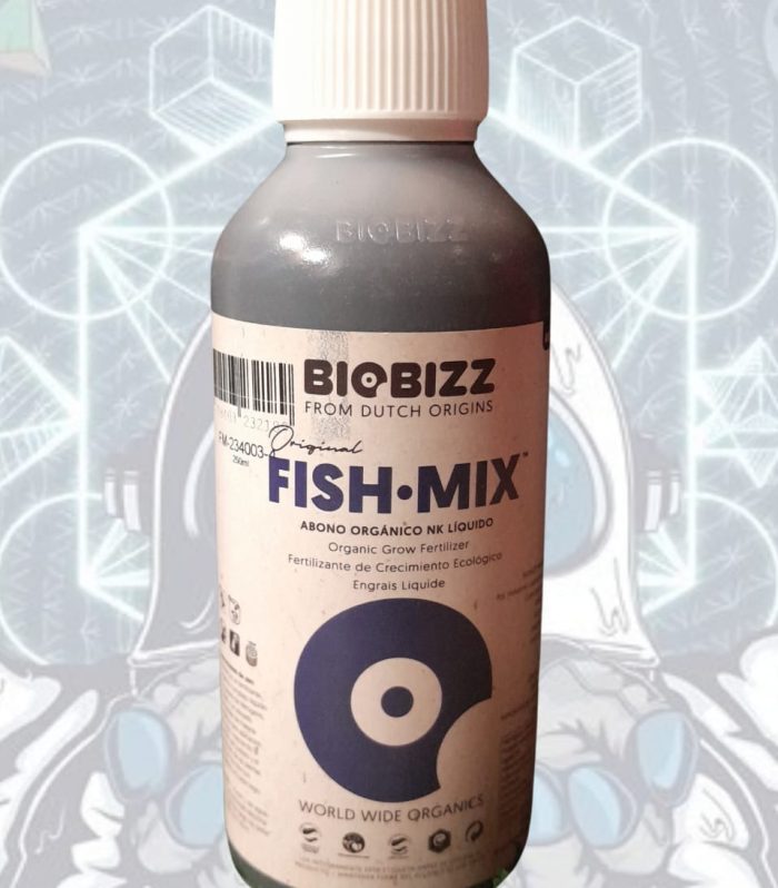 WhatsApp Image 2025-03-08 at 6.04.46 PM