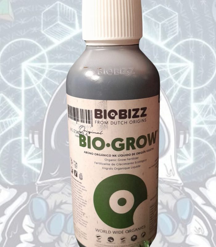 WhatsApp Image 2025-03-08 at 6.45.45 PM