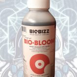 WhatsApp Image 2025-03-08 at 6.47.58 PM