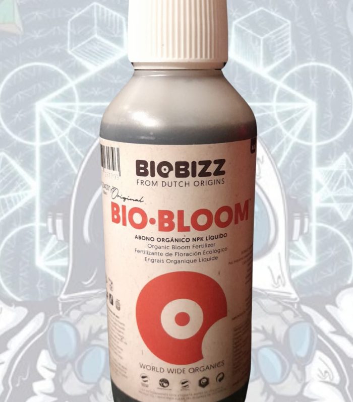 WhatsApp Image 2025-03-08 at 6.47.58 PM