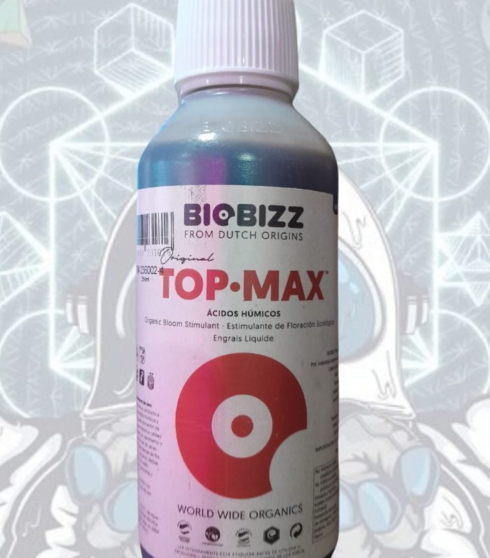 WhatsApp Image 2025-03-08 at 6.59.07 PM