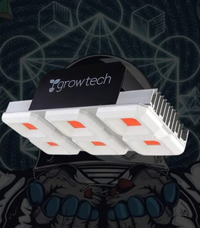 WhatsApp Image 2025-03-08 at 7.28.13 PM