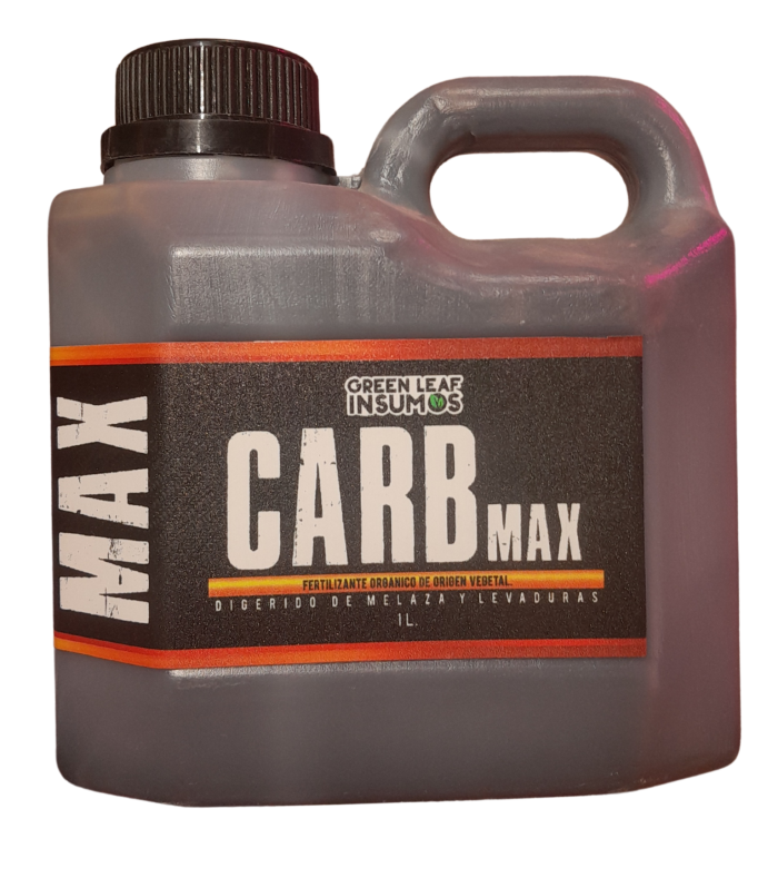 Diseño sin título_20250324_145618_0000