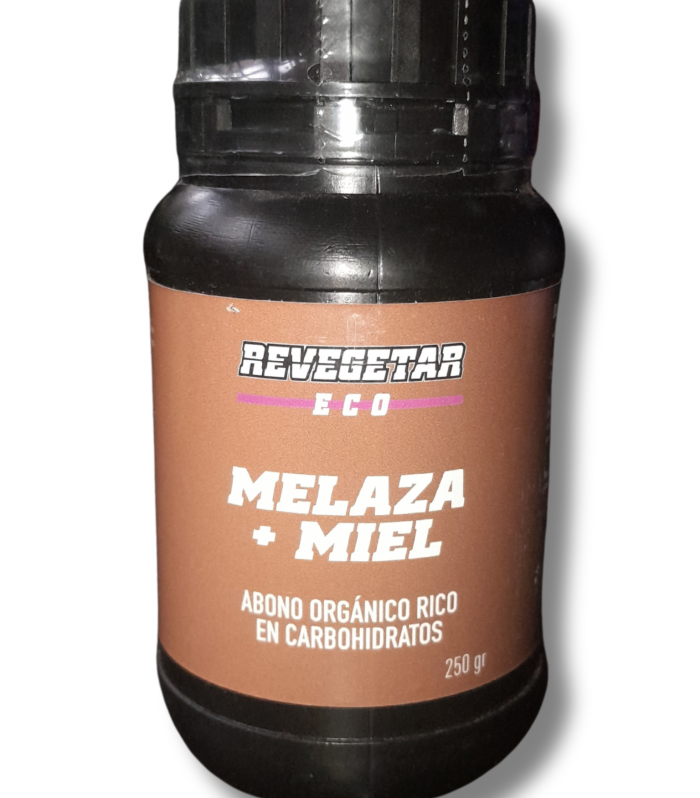 Diseño sin título_20250326_164605_0000