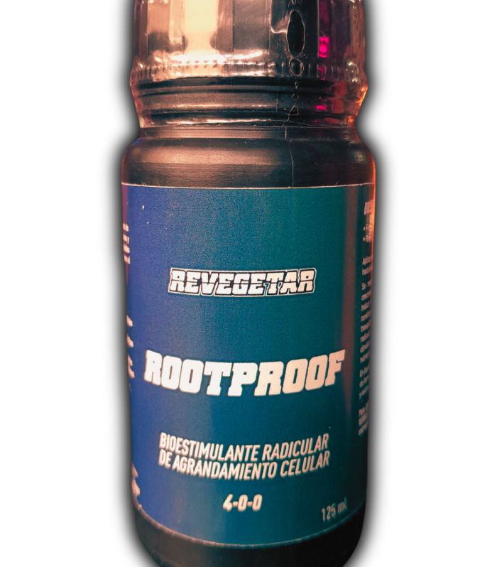 Diseño sin título_20250326_173808_0000