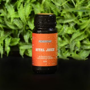 Ferti Flora Vital Juice 125ml - Revegetar