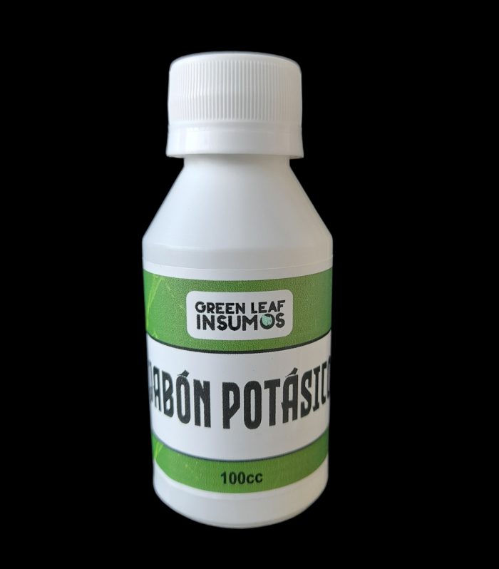 IMG-20240927-WA0048(1)