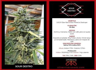 Sour Destro Silver Rider Seeds