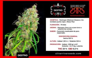Destro Sema FEM Silver Rider Seeds