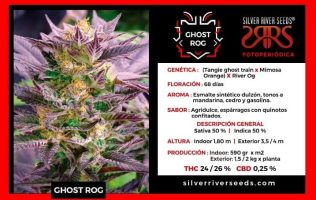 Ghost Rog Silver Silver Rider Seeds
