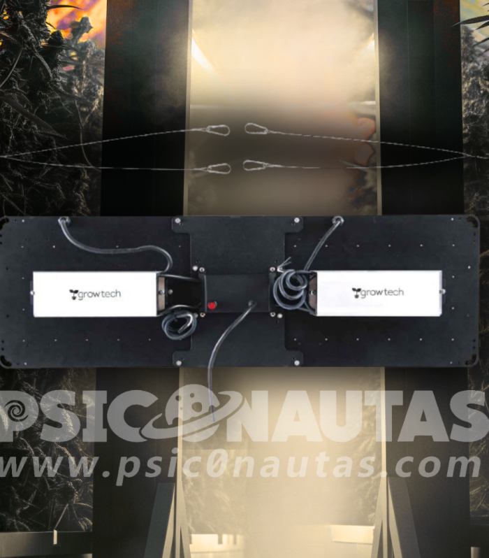 2_20250629_171657_0001