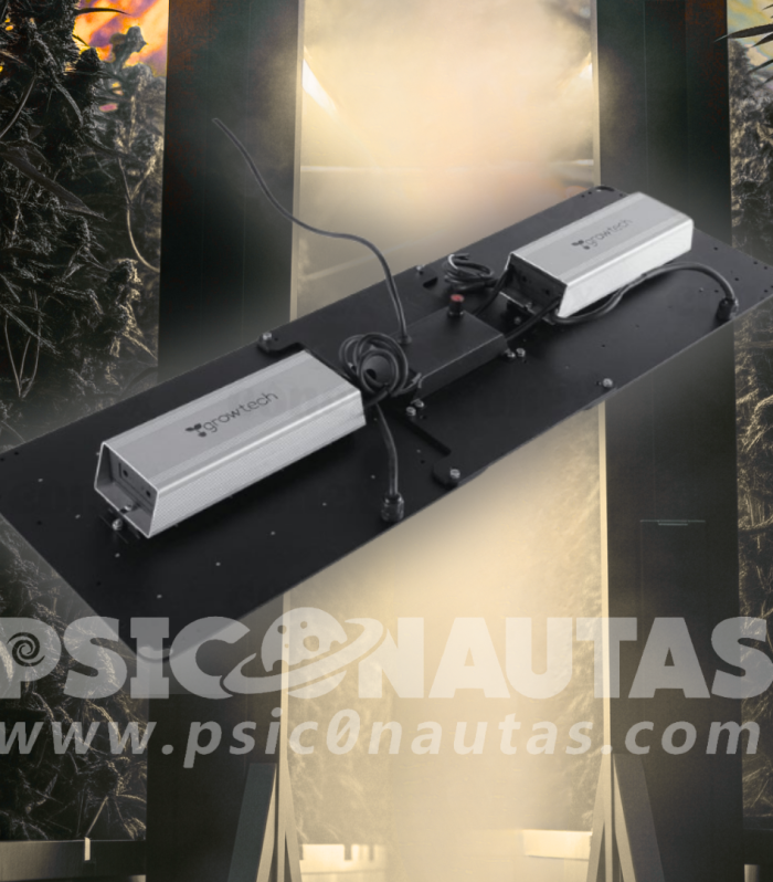 2_20250629_171822_0001