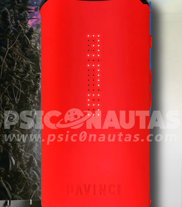 Copia de Copia de Copia de Copia de Copia de Sin título (Tu historia)_20250709_183618_0000