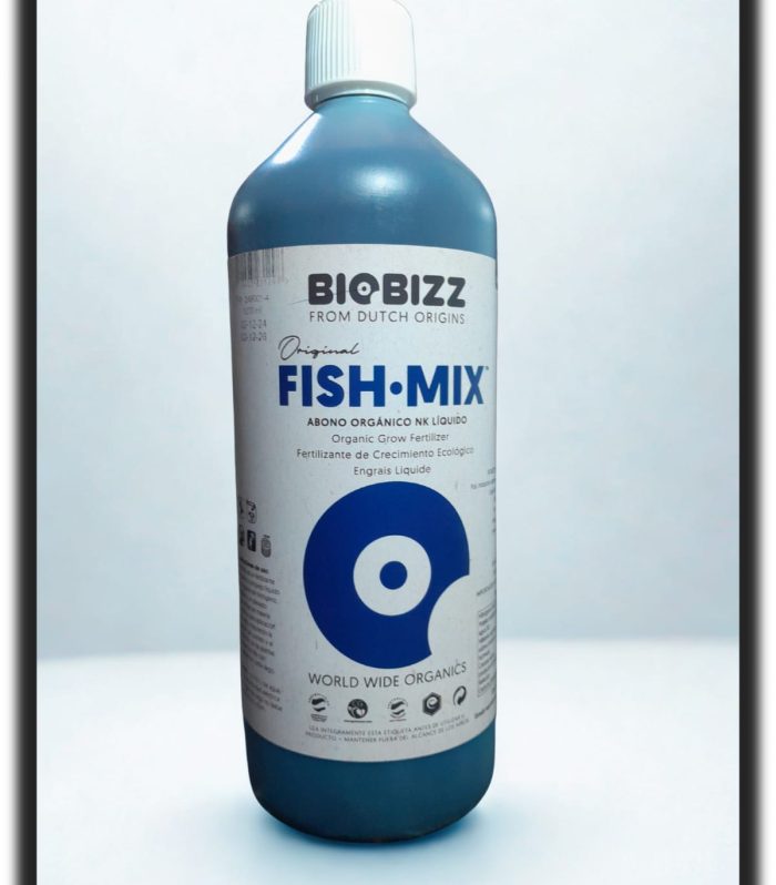 WhatsApp Image 2025-07-04 at 7.17.22 PM