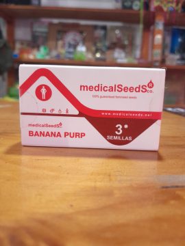 Banana Purp x3 -  Medical Seeds