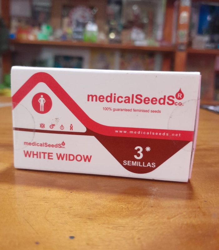 Imagen de WhatsApp 2025-08-22 a las 20.01.25_f038f370