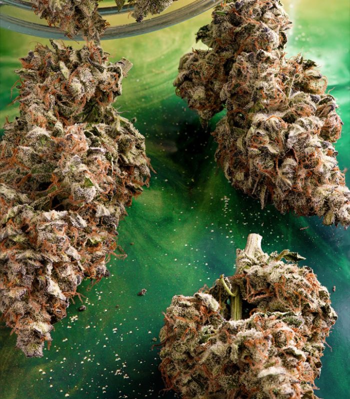 Auto-Melonade-Runtz-dry-yield